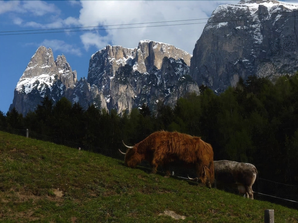 Imagen general del Hotel Gasthof Albergo Kreuzwirt. Foto 2