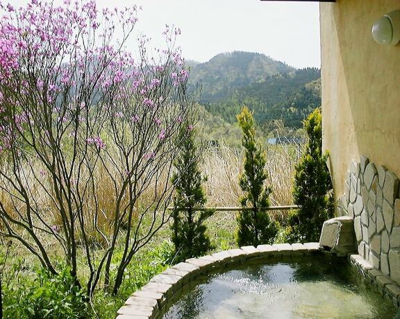 Imagen general del Hotel Gasthof Ami. Foto 4