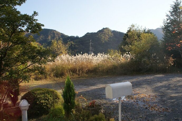 Imagen general del Hotel Gasthof Ami. Foto 9