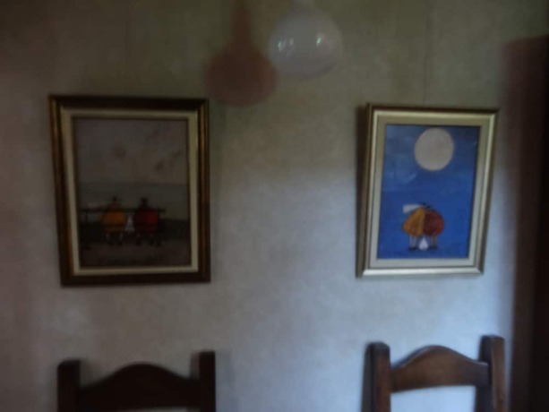 Imagen general del Hotel Gasthof Arutany. Foto 10