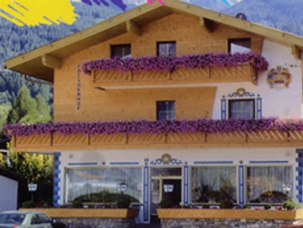 Imagen general del Hotel Gasthof Götznerhof. Foto 8