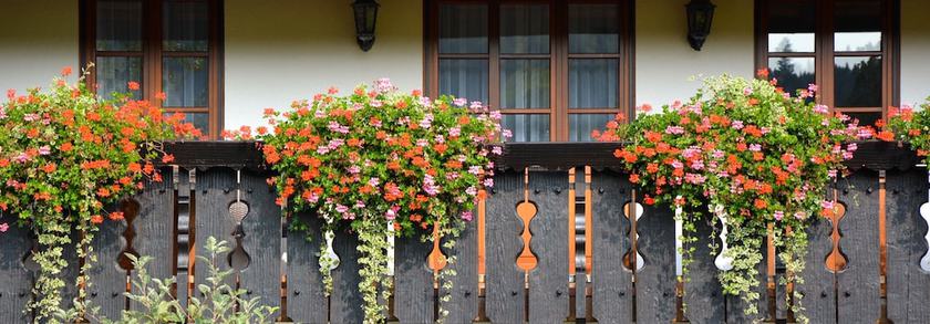 Imagen de la habitación del Hotel Gasthof Hirschen. Foto 16