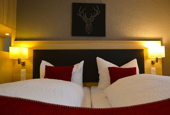 Imagen de la habitación del Hotel Gasthof Hirschen, Sallneck. Foto 12