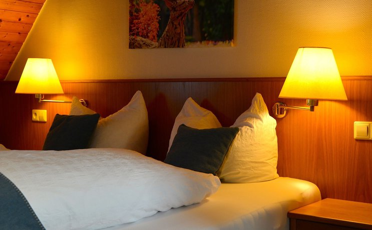 Imagen de la habitación del Hotel Gasthof Hirschen, Sallneck. Foto 14