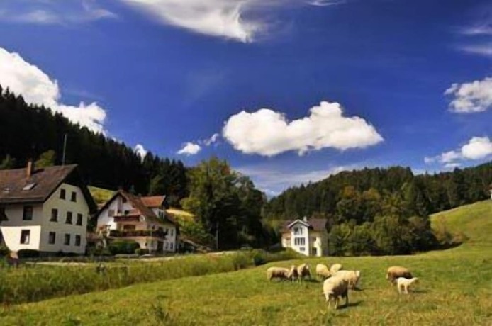 Imagen general del Hotel Gasthof Hirschen-Dorfm&uuml;hle. Foto 14