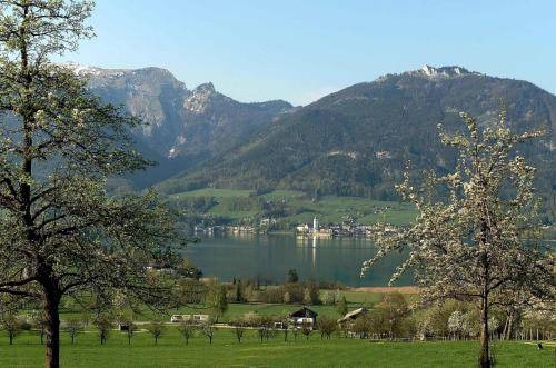 Imagen general del Hotel Gasthof Hotel Weberh&auml;usl. Foto 20