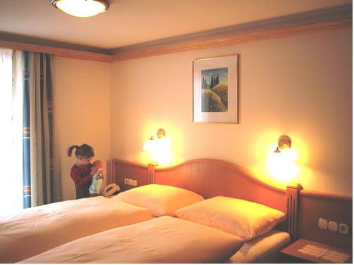 Imagen de la habitación del Hotel Gasthof Islitzer. Foto 15