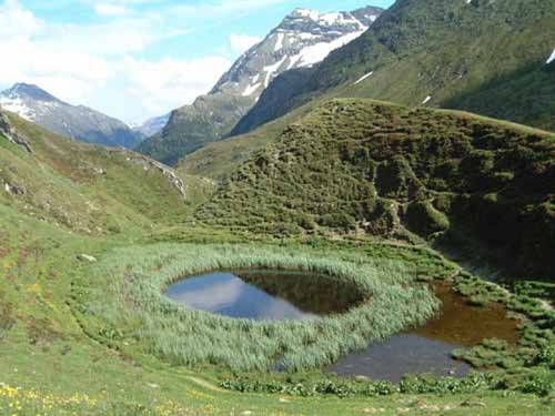 Imagen de la habitación del Hotel Gasthof Jagawirt - Gästehaus Alpina. Foto 7