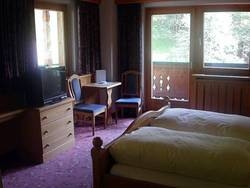 Imagen general del Hotel Gasthof Lendwirt. Foto 20