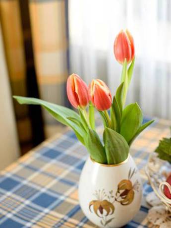 Imagen de la habitación del Hotel Gasthof Metzgerei Stöberl. Foto 7