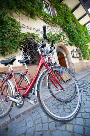 Imagen general del Hotel Gasthof Moserwirt. Foto 4