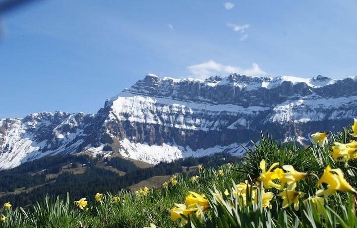 Imagen general del Hotel Gasthof Rosegg. Foto 1