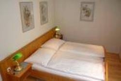 Imagen general del Hotel Gasthof Rothmayr. Foto 9