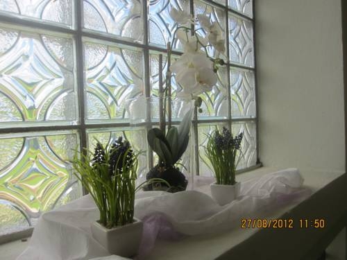 Imagen general del Hotel Gasthof Rupertigau. Foto 8