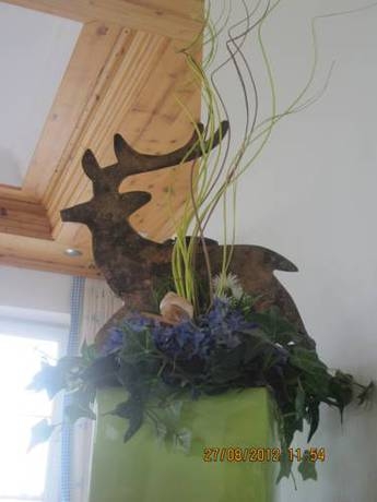 Imagen general del Hotel Gasthof Rupertigau. Foto 16