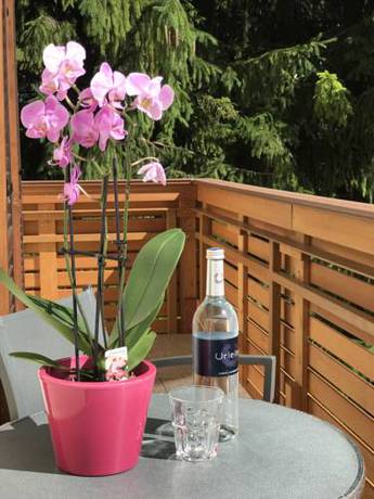 Imagen de la habitación del Hotel Gasthof Sprenger. Foto 6