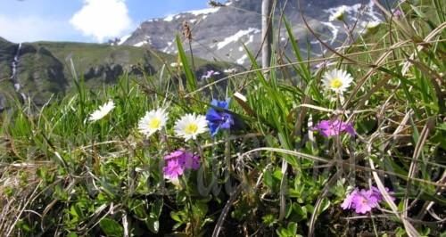 Imagen general del Hotel Gasthof Thanner. Foto 13