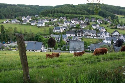Imagen general del Hotel Gasthof Westfeld. Foto 4