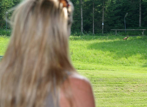Imagen de la habitación del Hotel Gasthof Zur Wacht. Foto 6