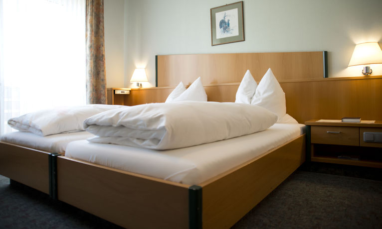 Imagen de la piscina del Hotel Gasthof Zur Windmühle. Foto 15