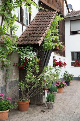 Imagen general del Hotel Gasthof zur Rose. Foto 7