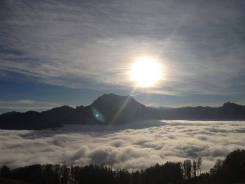 Imagen de la habitación del Hotel Gasthof-pension Urzn. Foto 11