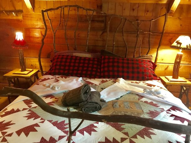 Imagen de la habitación del Hotel Gatlinburg Adventure Cabins. Foto 19