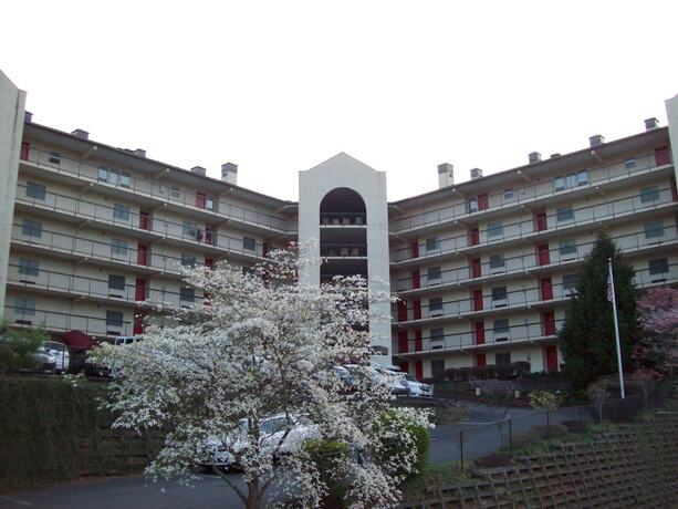 Imagen general del Hotel Gatlinburg Chateau Rentals. Foto 3