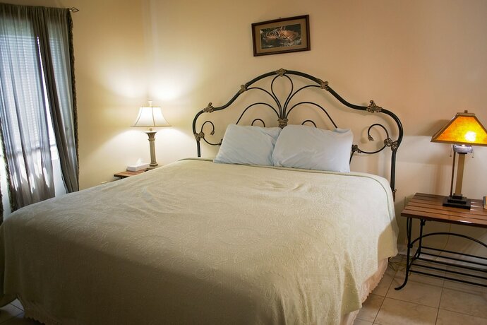 Imagen general del Hotel Gatlinburg Chateau Rentals. Foto 7
