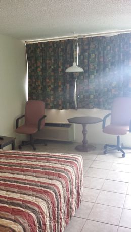 Imagen de la habitación del Hotel Gator Lodge. Foto 5