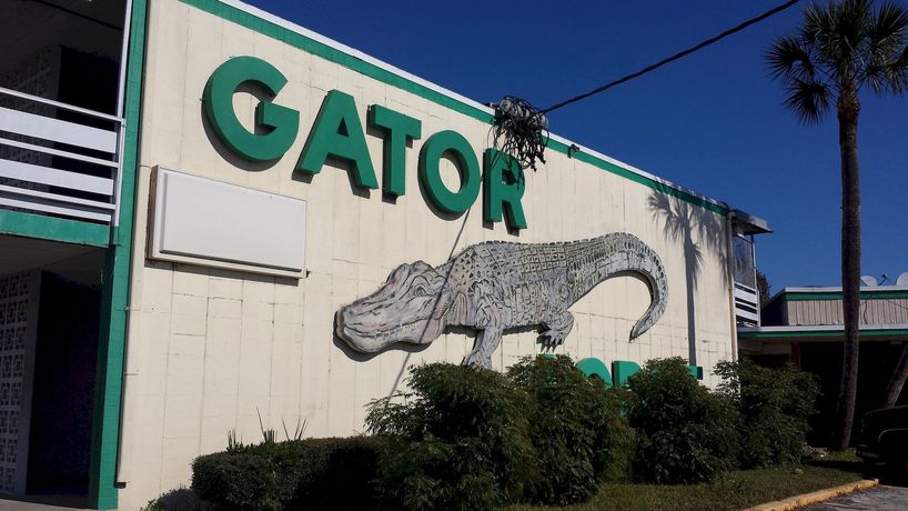 Imagen de la habitación del Hotel Gator Lodge. Foto 7