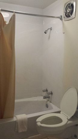 Imagen general del Hotel Gator Lodge. Foto 2