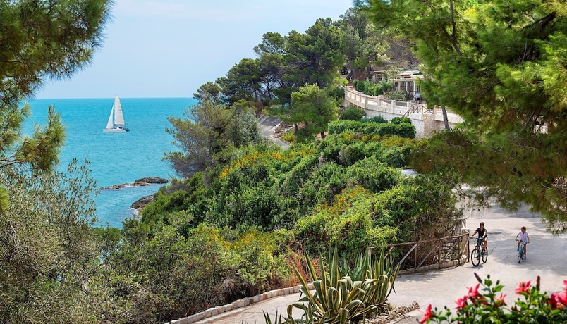 Imagen de los exteriores del Hotel Gattarella Family Resort - Self-catering Accommodations In The Pinewood. Foto 15