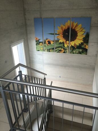 Imagen general del Hotel Gästehaus Sonne. Foto 4