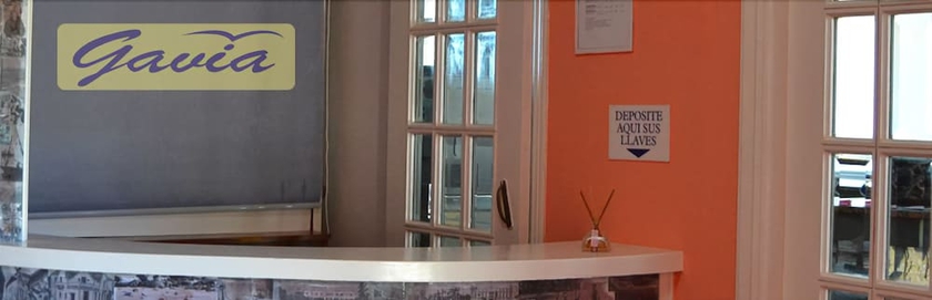 Imagen de los interiores del Hotel Gavia. Foto 11