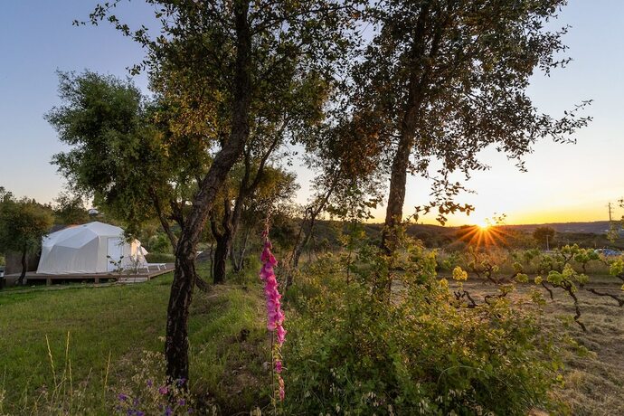 Imagen general del Hotel Gavião Nature Village. Foto 9