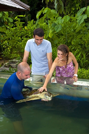 Imagen general del Hotel Gaya Island Resort. Foto 4