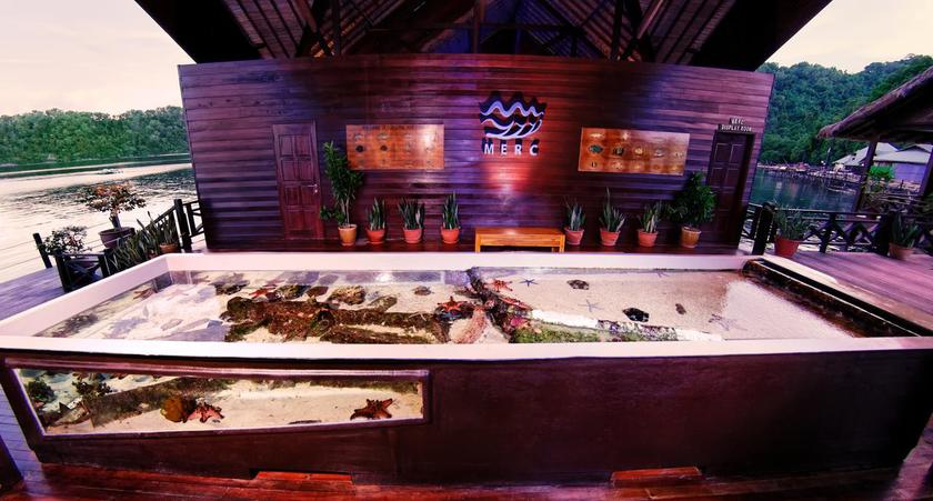 Imagen general del Hotel Gayana Marine Resort. Foto 13