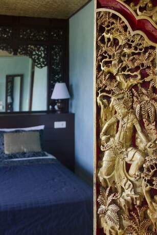 Imagen general del Hotel Gayatri. Foto 5