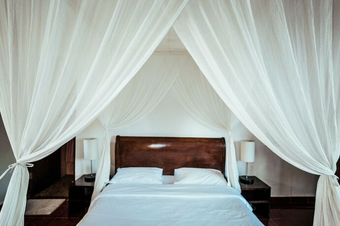 Imagen de la habitación del Hotel Gayatri. Foto 31