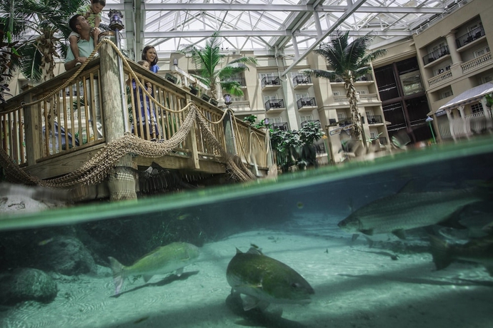 Imagen de los interiores del Hotel Gaylord Palms Resort and Convention Center. Foto 15