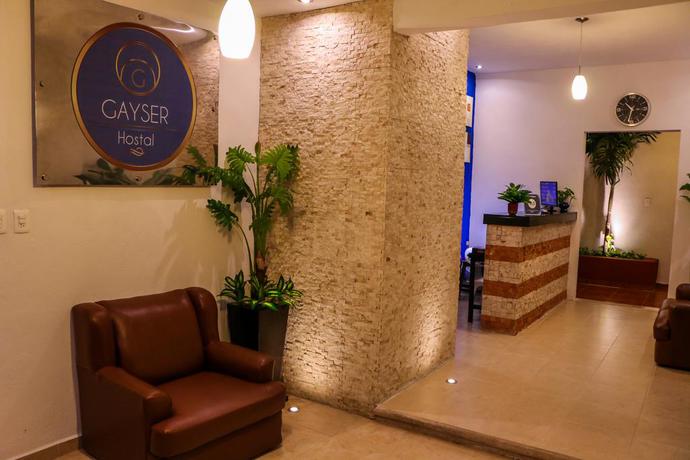 Imagen de los interiores del Hotel Gayser Apartamentos. Foto 18