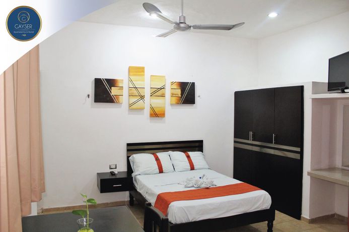 Imagen de la habitación del Hotel Gayser Apartamentos. Foto 7