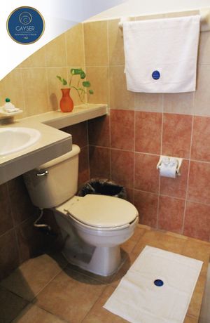 Imagen de la habitación del Hotel Gayser Apartamentos. Foto 12