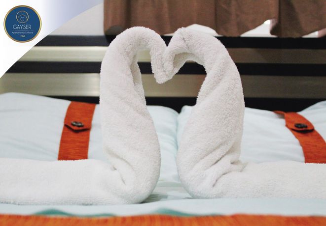 Imagen de la habitación del Hotel Gayser Apartamentos. Foto 14