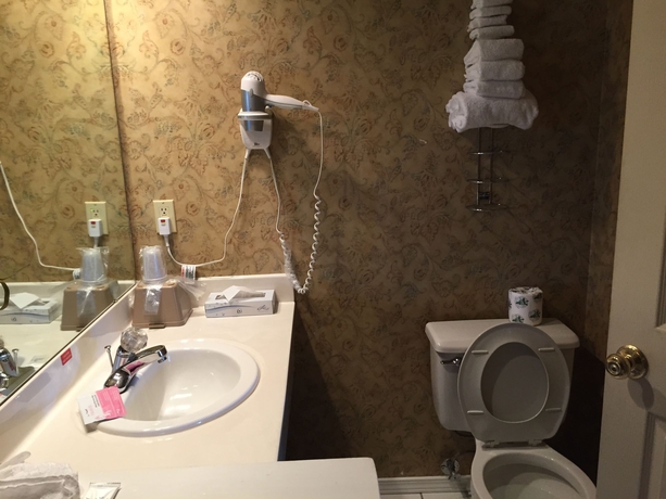 Imagen de la habitación del Hotel Gazebo Inn. Foto 2