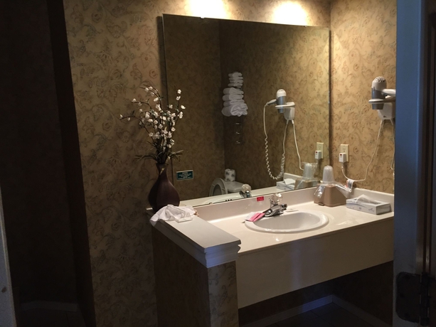 Imagen de la habitación del Hotel Gazebo Inn. Foto 5