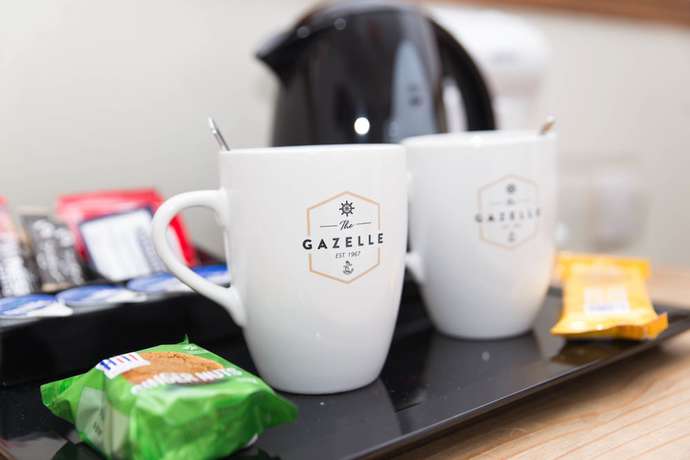 Imagen de la habitación del Hotel Gazelle. Foto 2