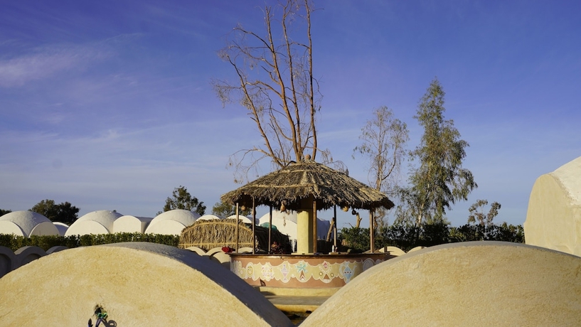 Imagen de la habitación del Hotel Gazrashek Siwa Eco Lodge. Foto 11