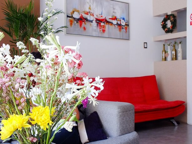 Imagen general del Hotel Gazu Hostal. Foto 5
